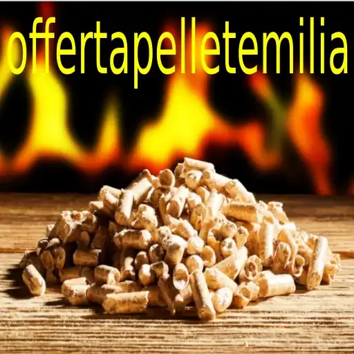 logo offertapelletemilia